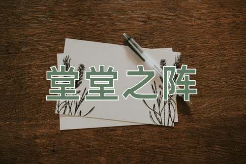 成语堂堂之阵