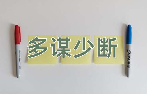 成语多谋少断
