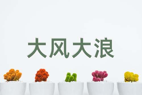 成语大风大浪