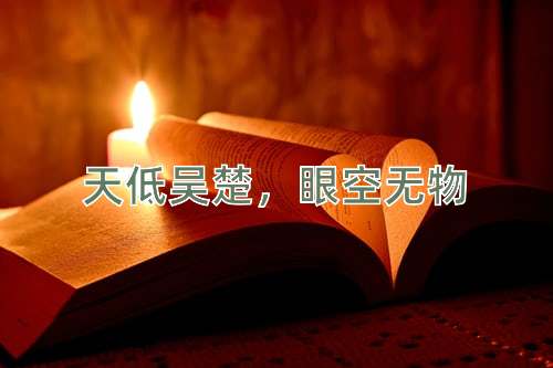 成语天低吴楚，眼空无物