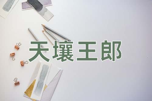 成语天壤王郎