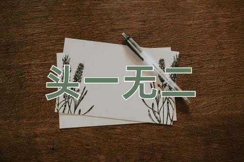 成语头一无二