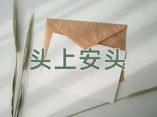 成语头上安头