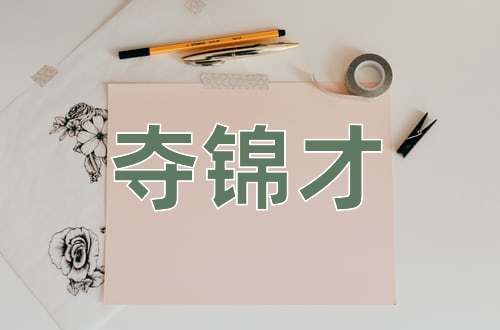 成语夺锦才