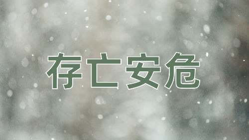 成语存亡安危