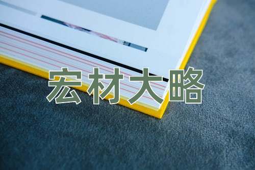 成语宏材大略
