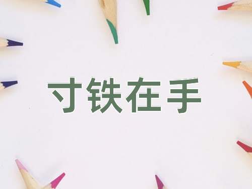 成语寸铁在手