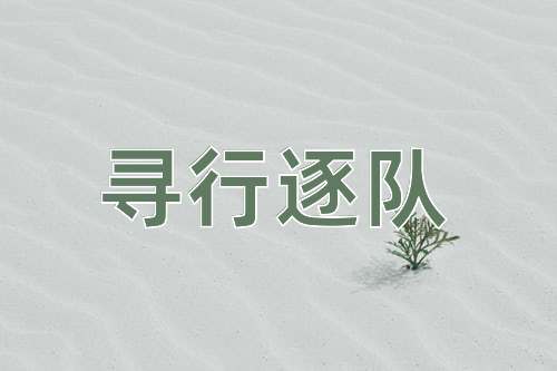 成语寻行逐队