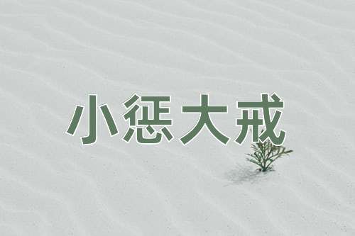 成语小惩大戒