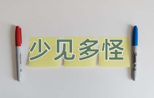 成语少见多怪