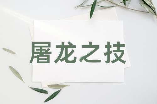 成语屠龙之技