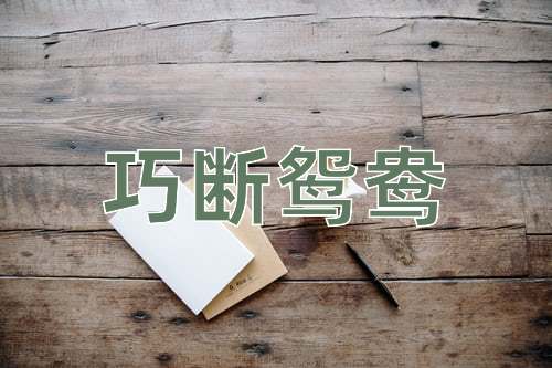 成语巧断鸳鸯