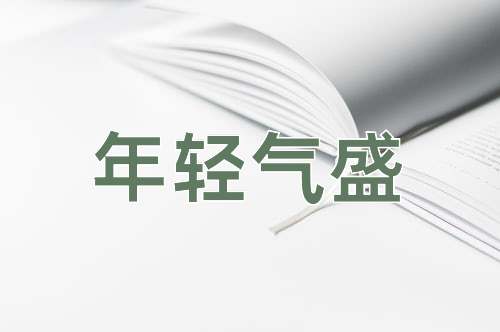 成语年轻气盛
