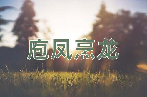 成语庖凤烹龙