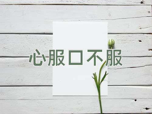 成语心服口不服