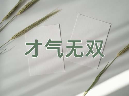 成语才气无双