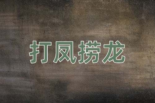 成语打凤捞龙