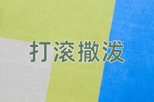 成语打滚撒泼