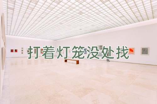 成语打着灯笼没处找
