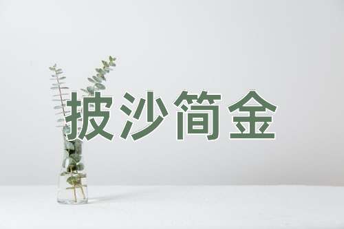 成语披沙简金