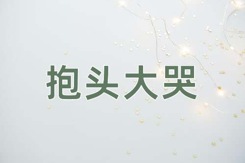 成语抱头大哭