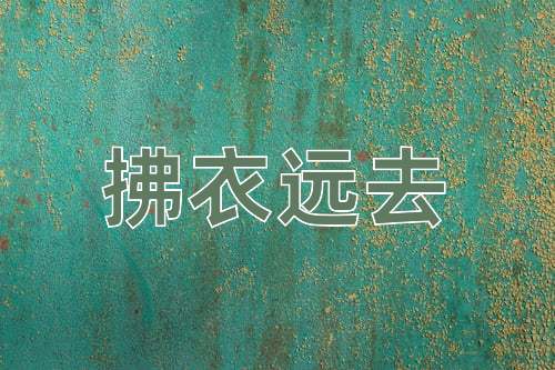 成语拂衣远去