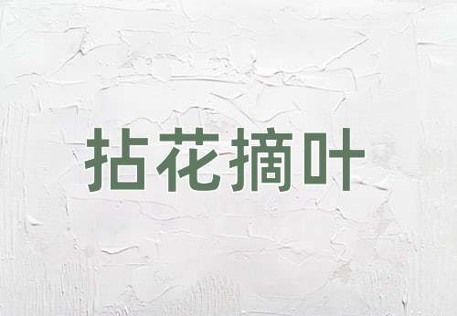 成语拈花摘叶