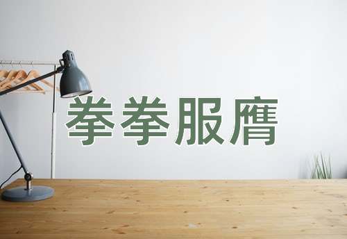 成语拳拳服膺