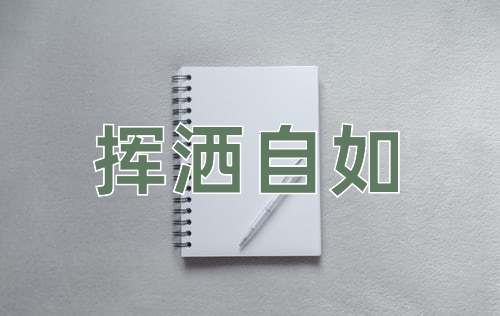 成语挥洒自如