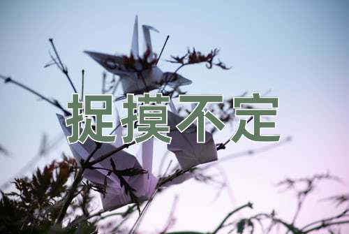 成语捉摸不定