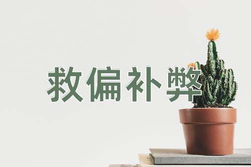 成语救偏补弊