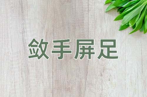 成语敛手屏足