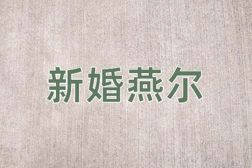 成语新婚燕尔