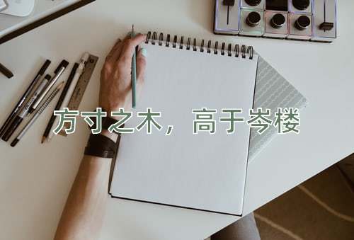 成语方寸之木，高于岑楼