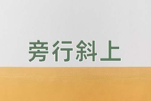 成语旁行斜上