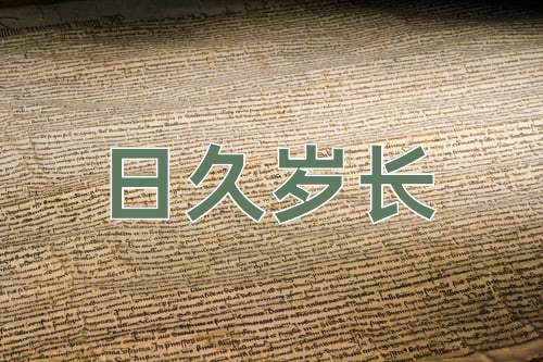 成语日久岁长