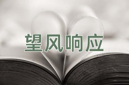 成语望风响应