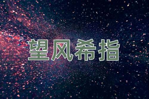 成语望风希指