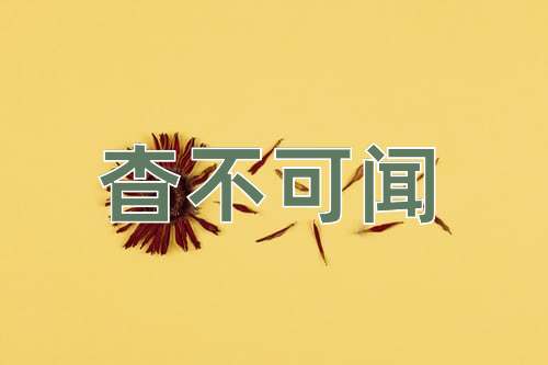 成语杳不可闻