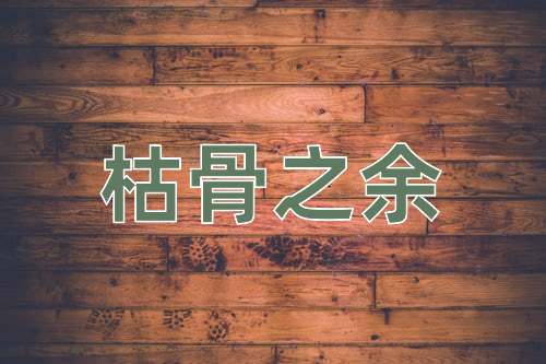 成语枯骨之余