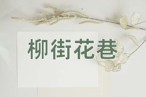 成语柳街花巷