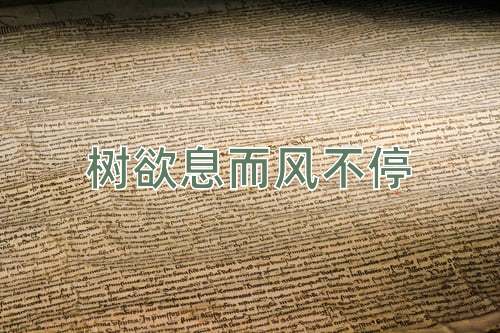 成语树欲息而风不停
