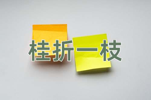 成语桂折一枝