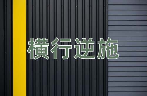 成语横行逆施