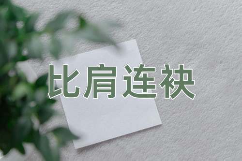 成语比肩连袂