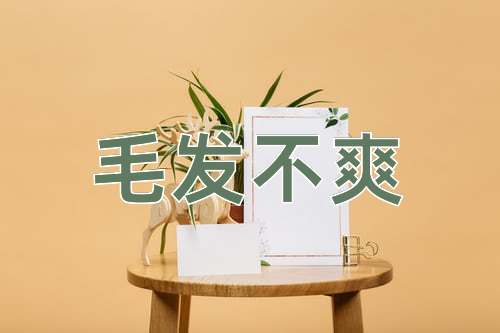 成语毛发不爽