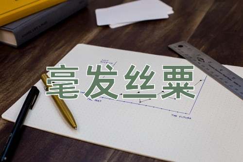 成语毫发丝粟
