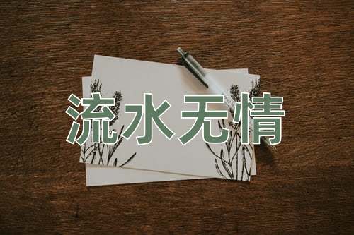 成语流水无情