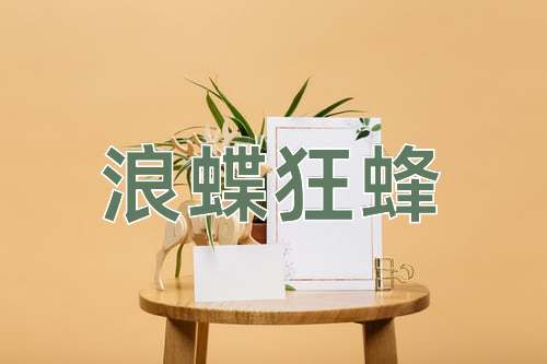成语浪蝶狂蜂