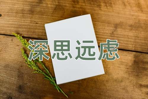 成语深思远虑